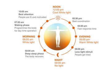 Circadian rhythm - HCL - Sun at Home EN