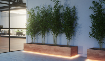 STEMNINGSFULD BELYSNING